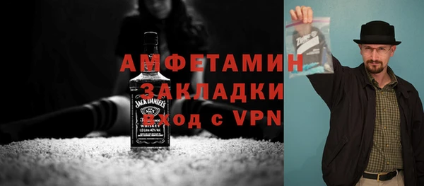 дживик Сосновый Бор