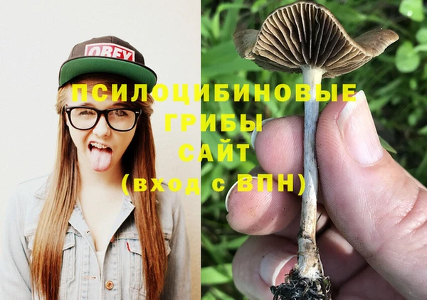 jwh Сосновка