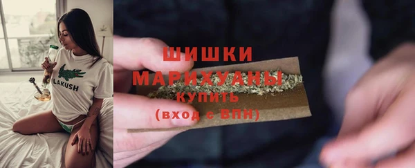 дживик Сосновый Бор