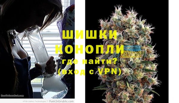 дживик Сосновый Бор