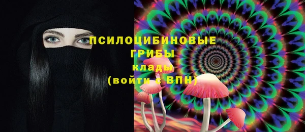 дживик Сосновый Бор