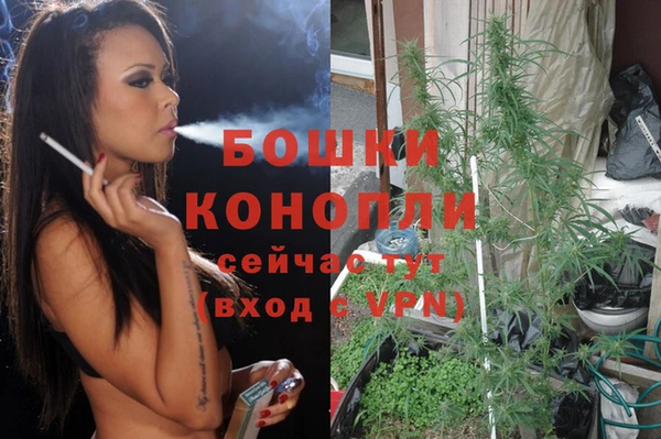 дживик Сосновый Бор
