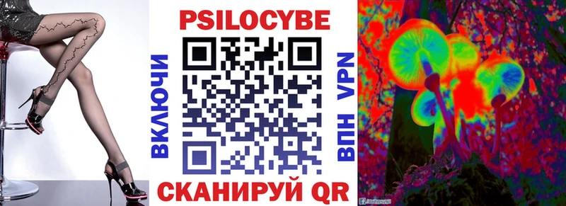 магазин  наркотиков  Устюжна  Галлюциногенные грибы Psilocybine cubensis 